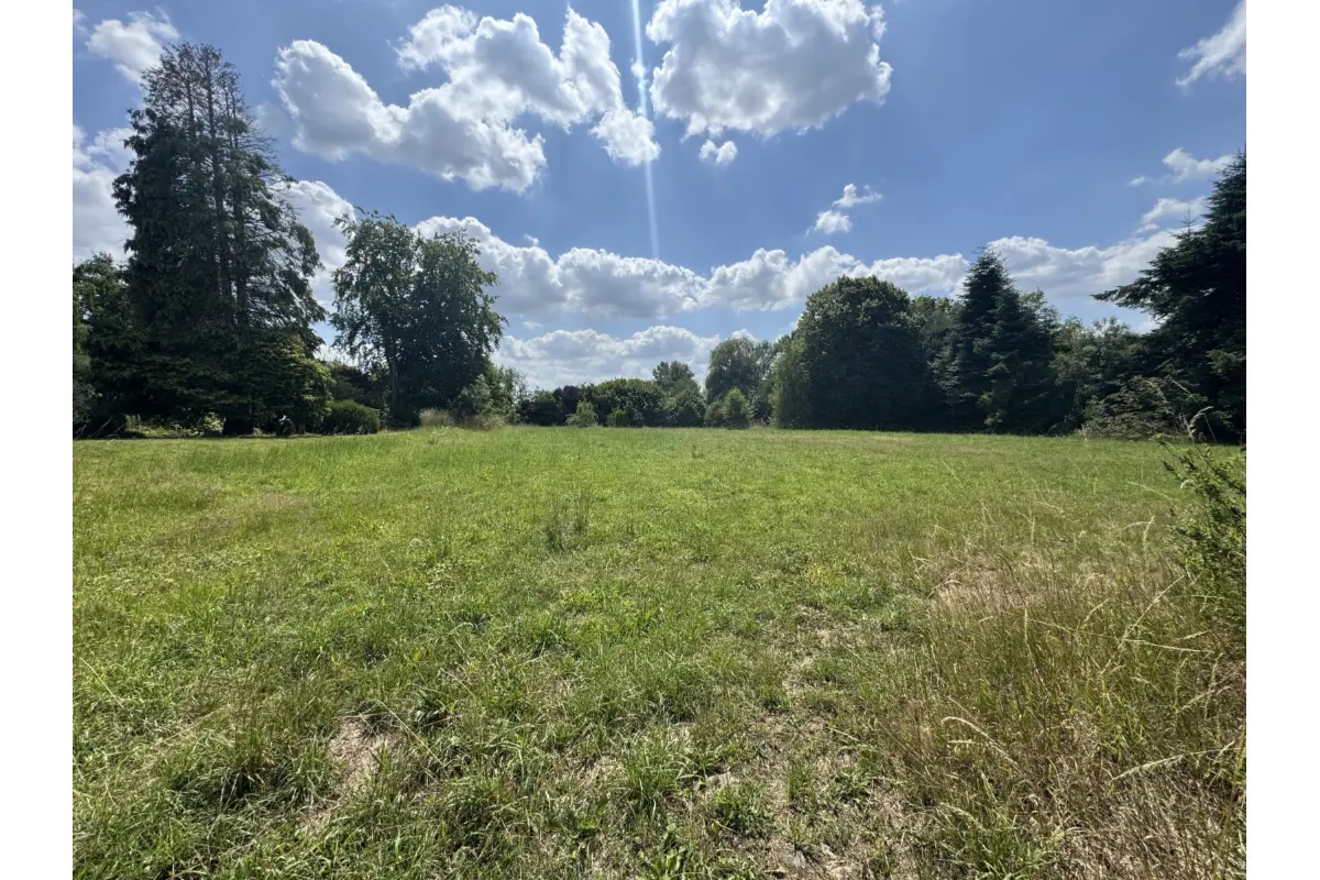 Terrain à vendre à Attre 7941 175000.00€  chambres m² - annonce 540354