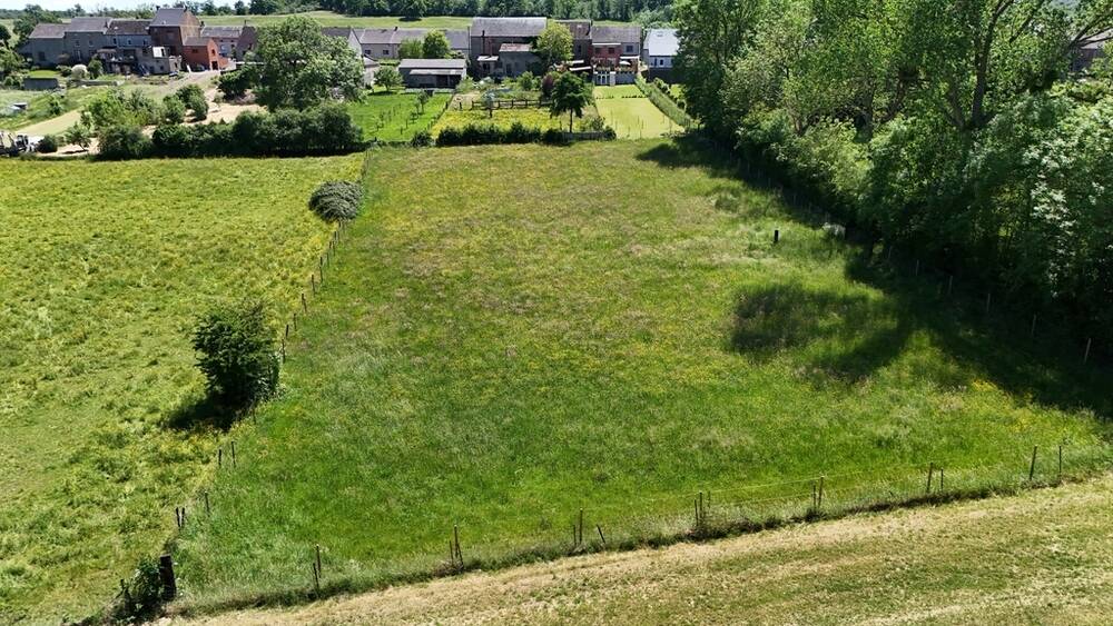 Terrain à bâtir à  à Romerée 5680 65000.00€  chambres m² - annonce 542440