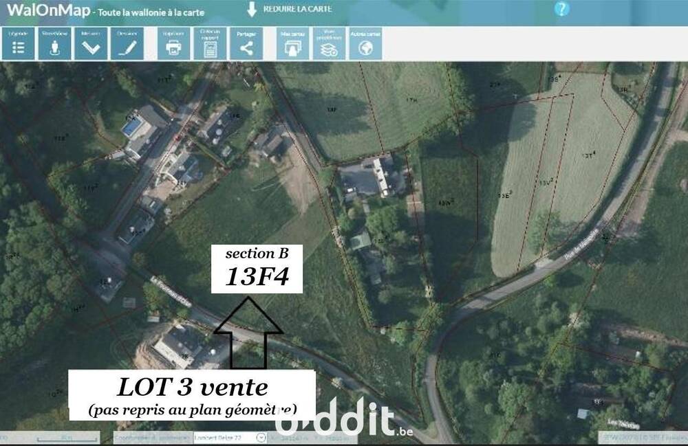 Terrain non bâtissable à vendre à Seloignes 6596 14000.00€ chambres m² - annonce 553622