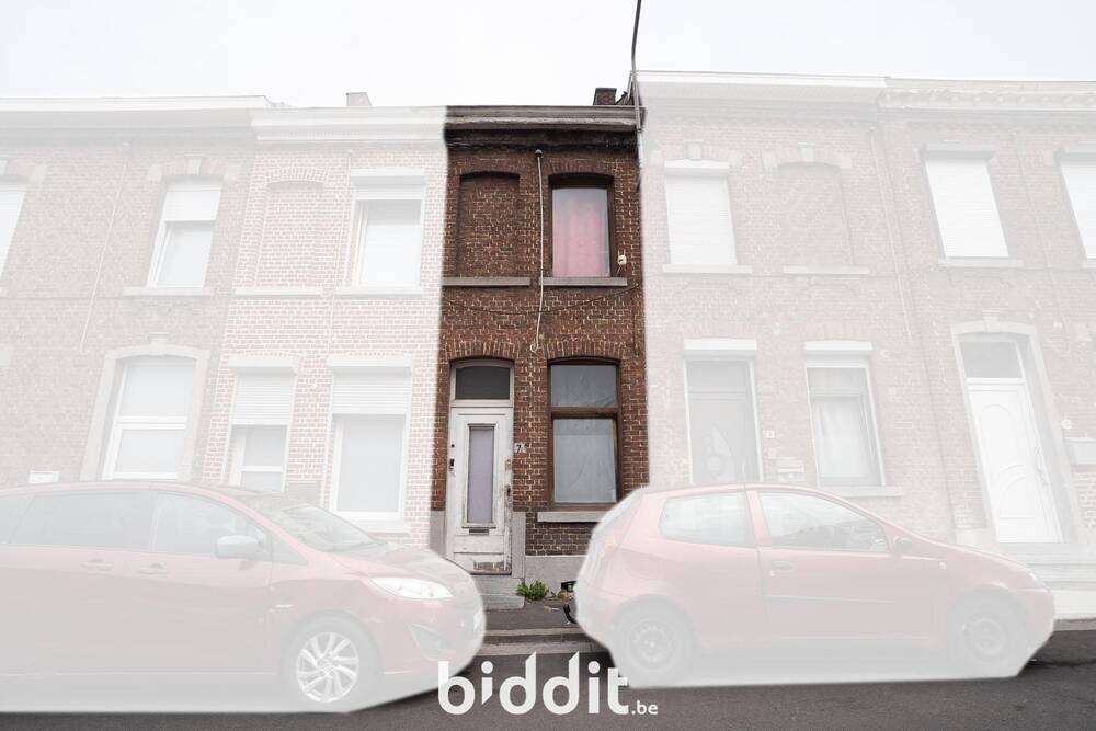 Maison à vendre à Haine-Saint-Pierre 7100 25000.00€ 2 chambres m² - annonce 553620