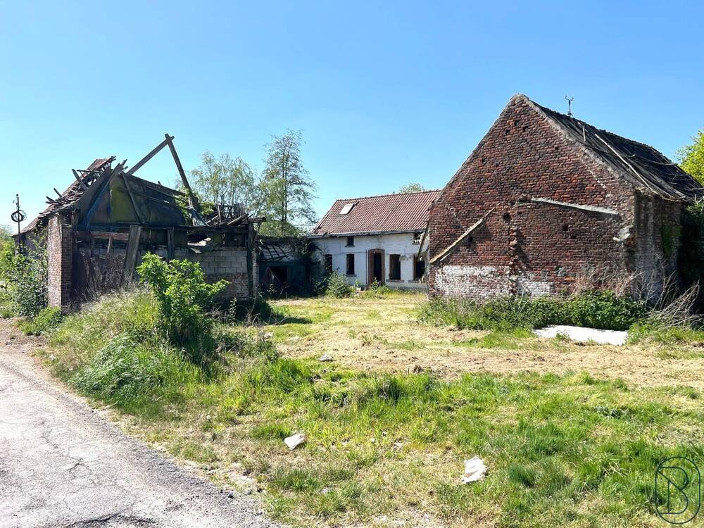 Maison à vendre à Flobecq 7880 265000.00€ 3 chambres 220.00m² - annonce 559097
