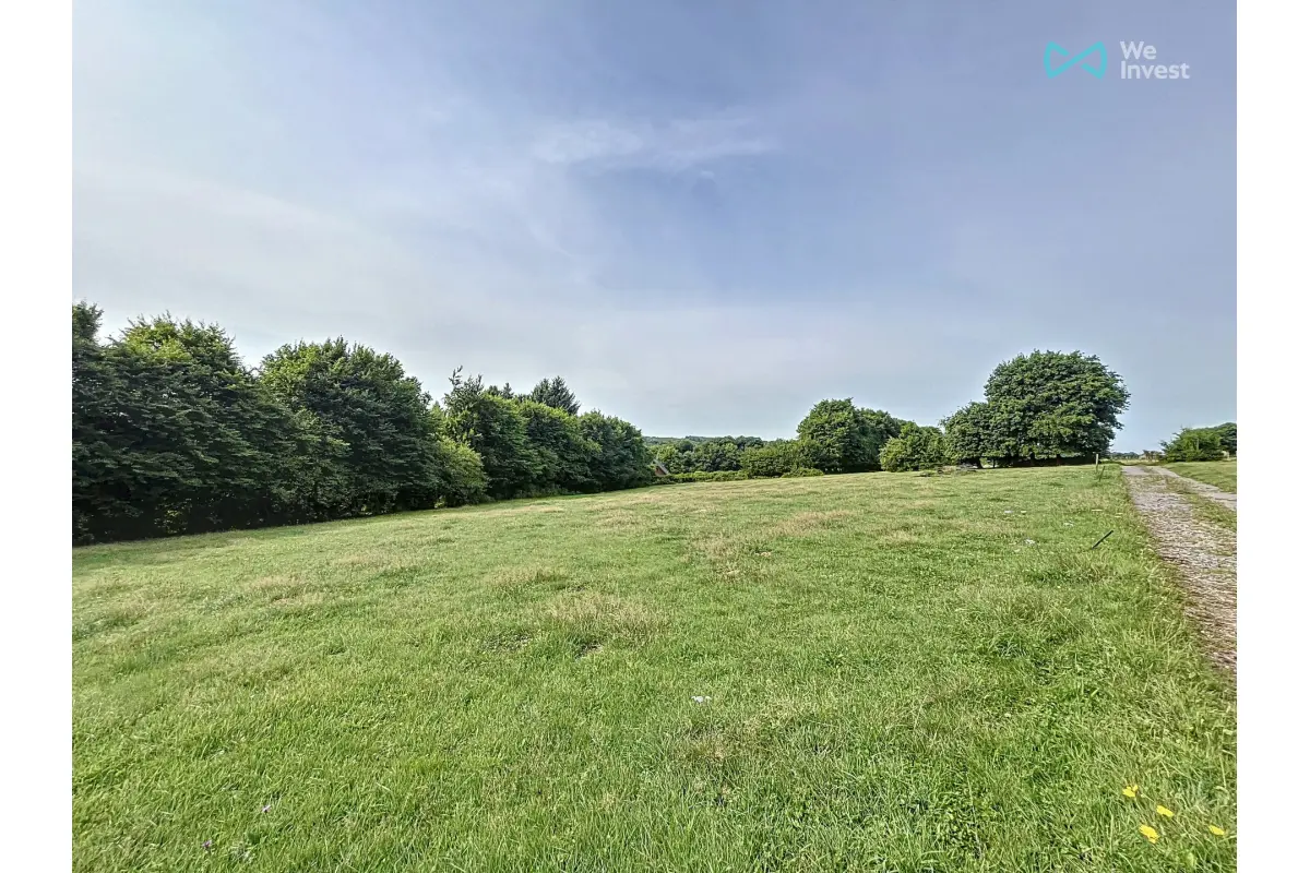 Terrain à vendre à Chimay 6460 95000.00€  chambres m² - annonce 560306