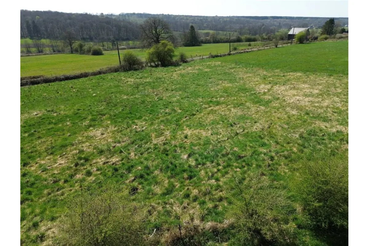 Terrain à vendre à Forge-Philippe 6596 49000.00€  chambres m² - annonce 562619