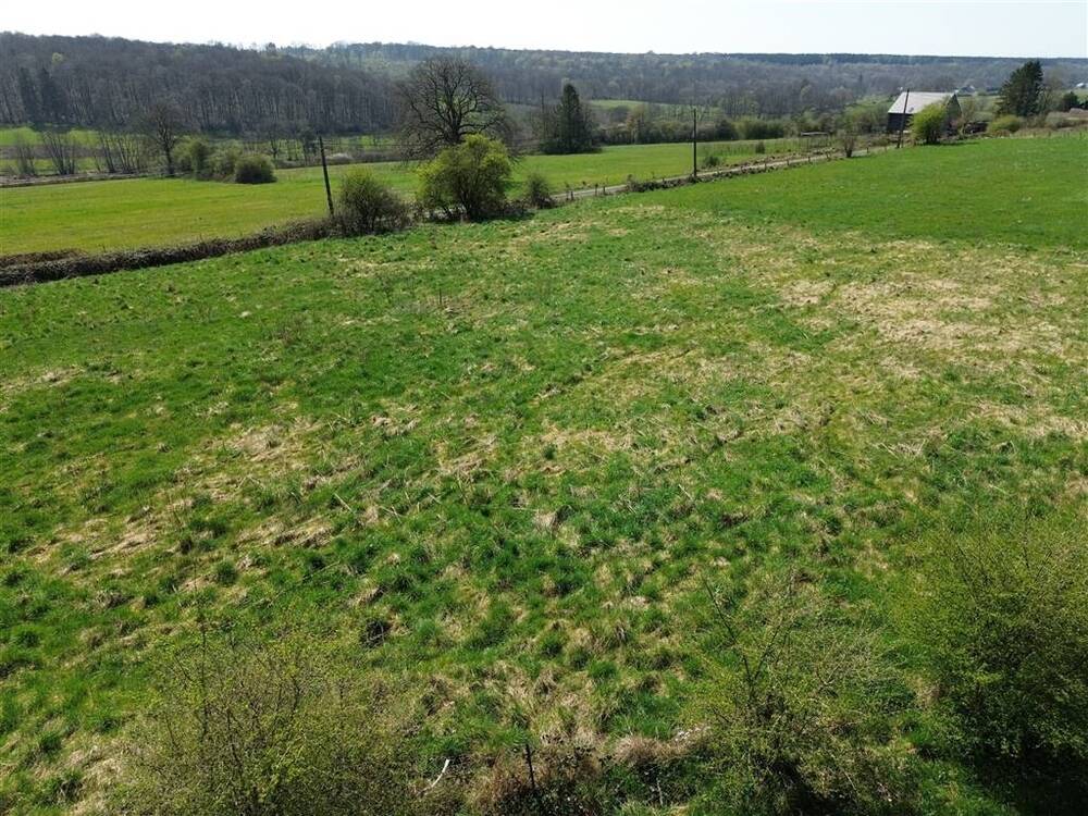 Terrain à vendre à Forge-Philippe 6596 49000.00€  chambres m² - annonce 562619