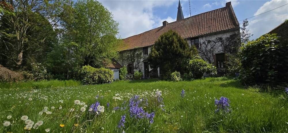 Maison à vendre à Wiers 7608 275000.00€ 4 chambres 320.00m² - annonce 562647
