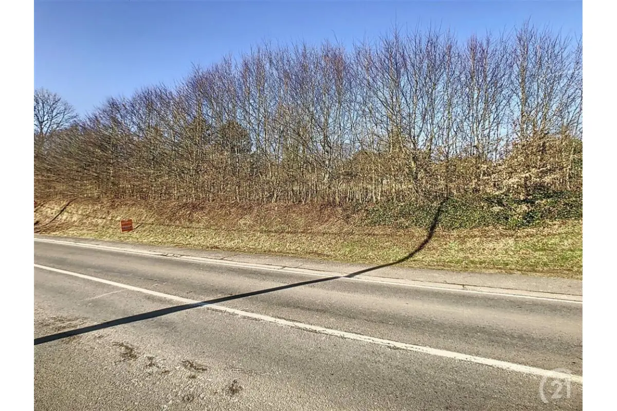 Terrain à vendre à Seloignes 6596 28000.00€  chambres m² - annonce 563405