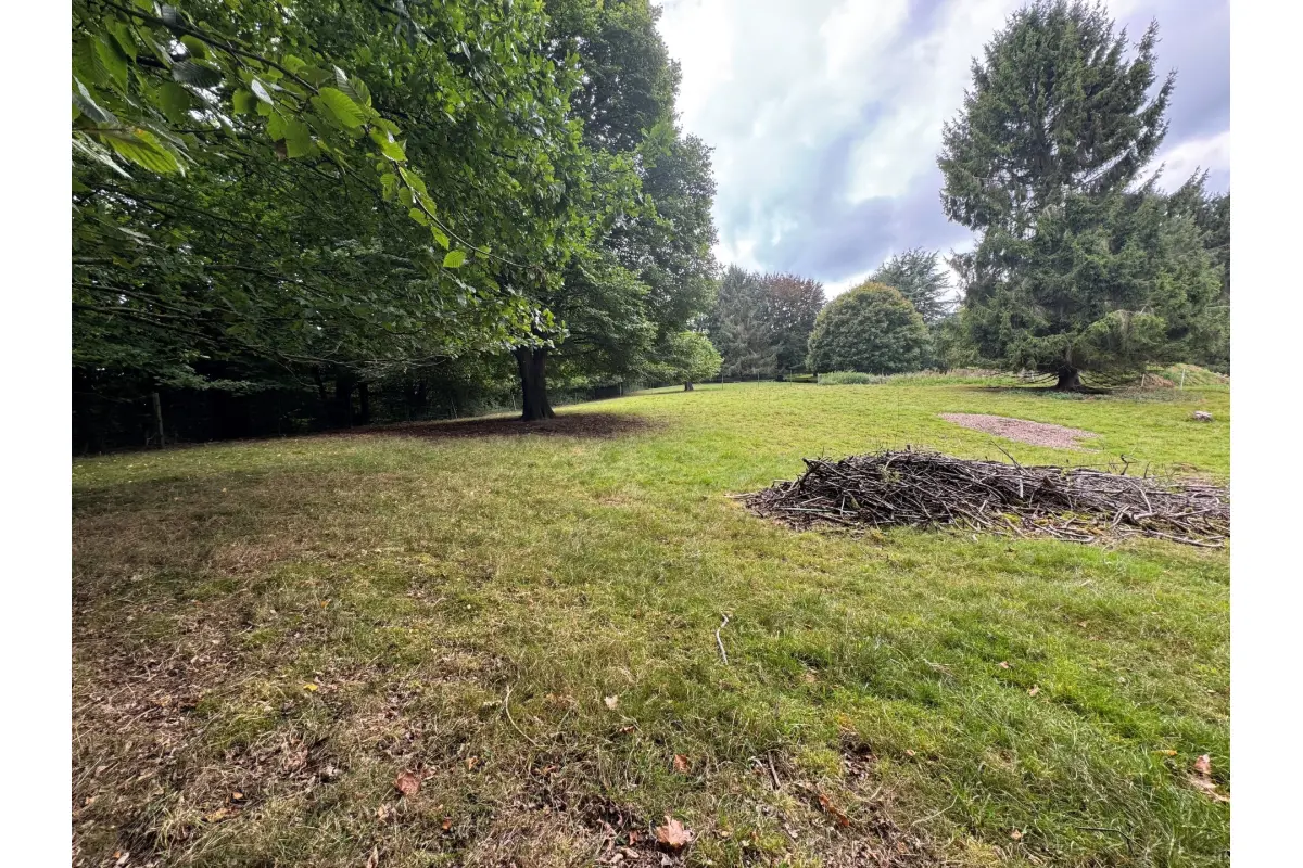 Terrain à vendre à Presles 6250 150000.00€  chambres m² - annonce 568433