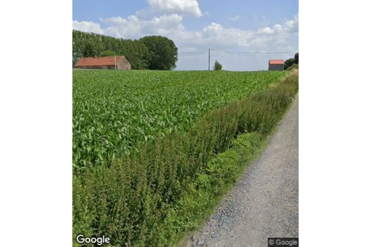 Terrain à vendre à Naast 7062 420000.00€  chambres m² - annonce 570468