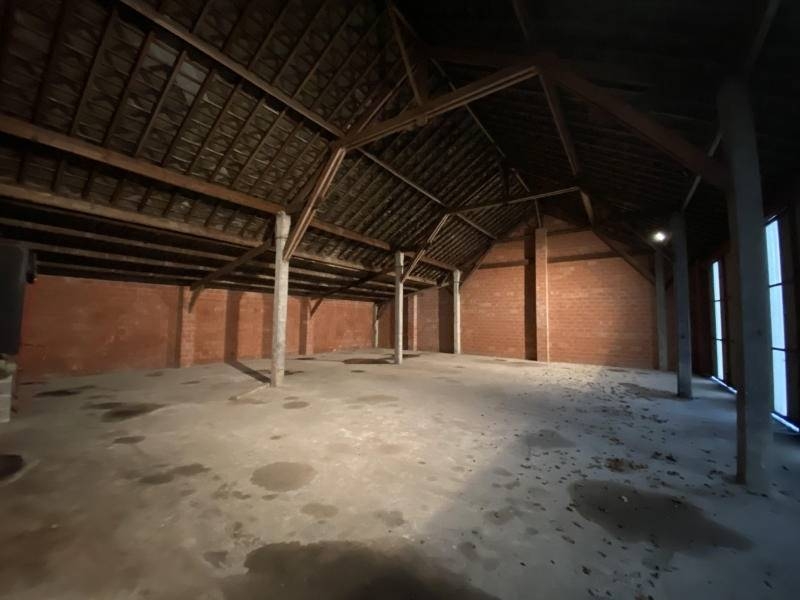 Commerce à louer à Taintignies 7618 600.00€  chambres 300.00m² - annonce 569534
