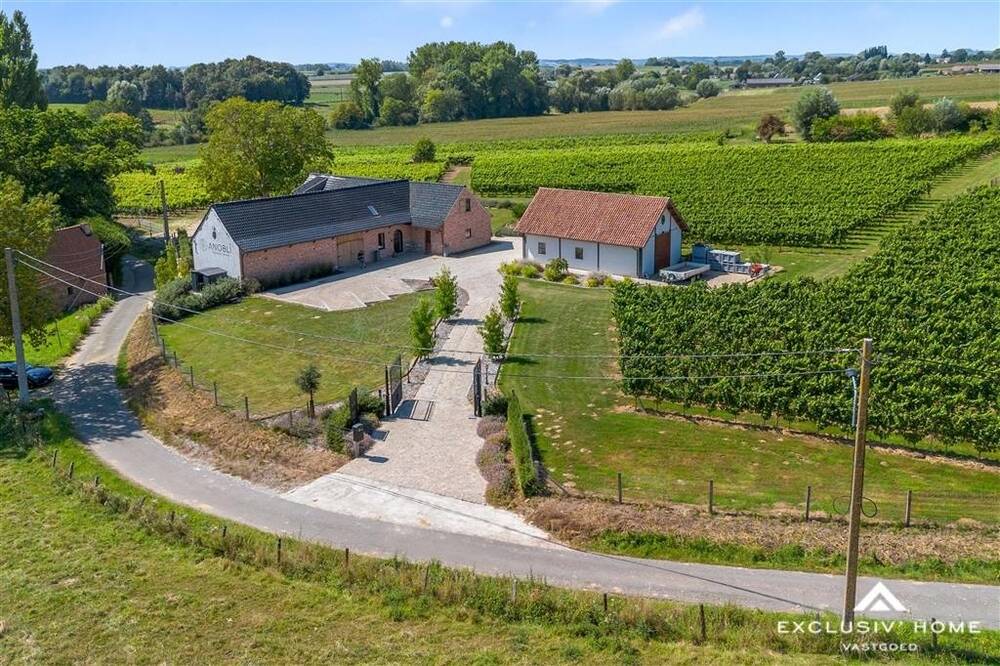 Maison à vendre à Flobecq 7880 1090000.00€ 2 chambres 276.00m² - annonce 571858