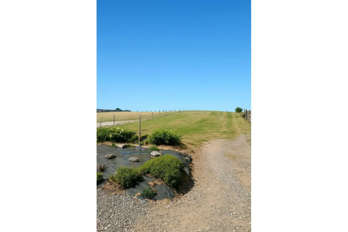 Terrain à vendre à Honnelles 7387 55000.00€  chambres m² - annonce 572510