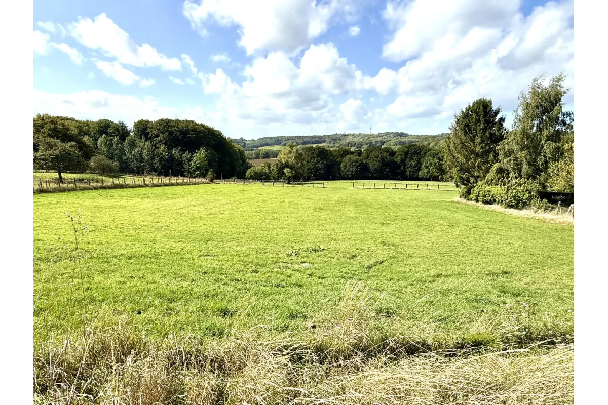 Terrain à vendre à Flobecq 7880 395000.00€  chambres m² - annonce 580584