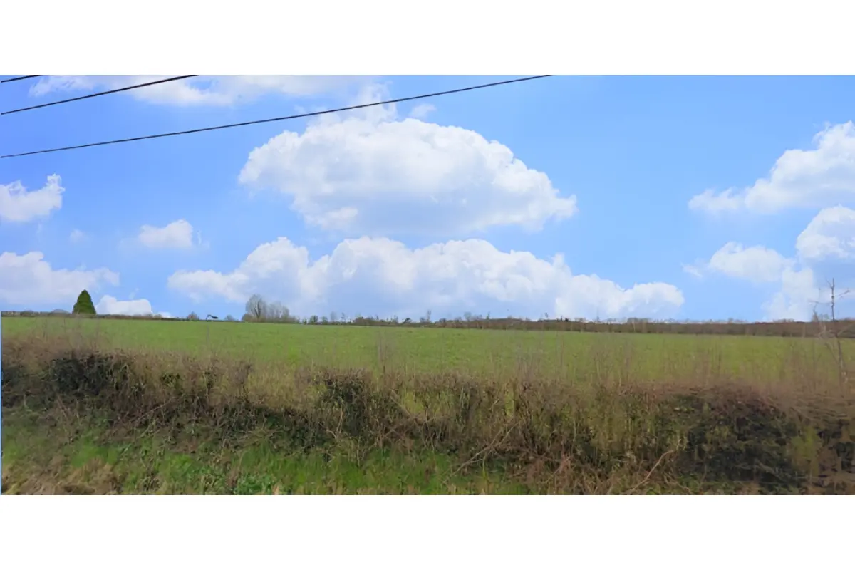 Terrain à vendre à Beauwelz 6594 65000.00€  chambres m² - annonce 582234