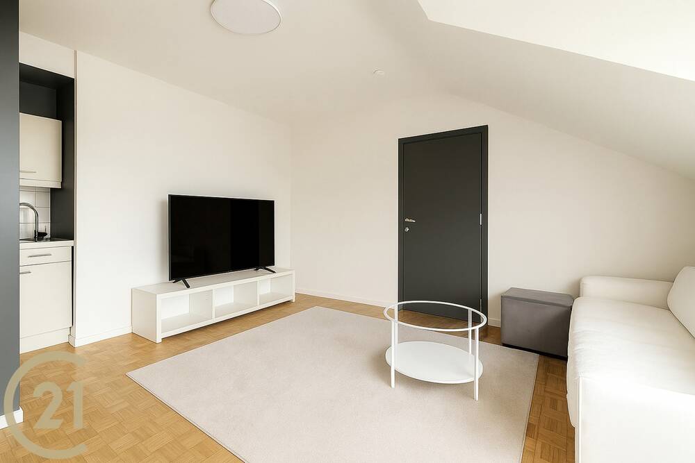 Appartement à vendre à Leuze-en-Hainaut 7900 90000.00€ 1 chambres 46.00m² - annonce 583221