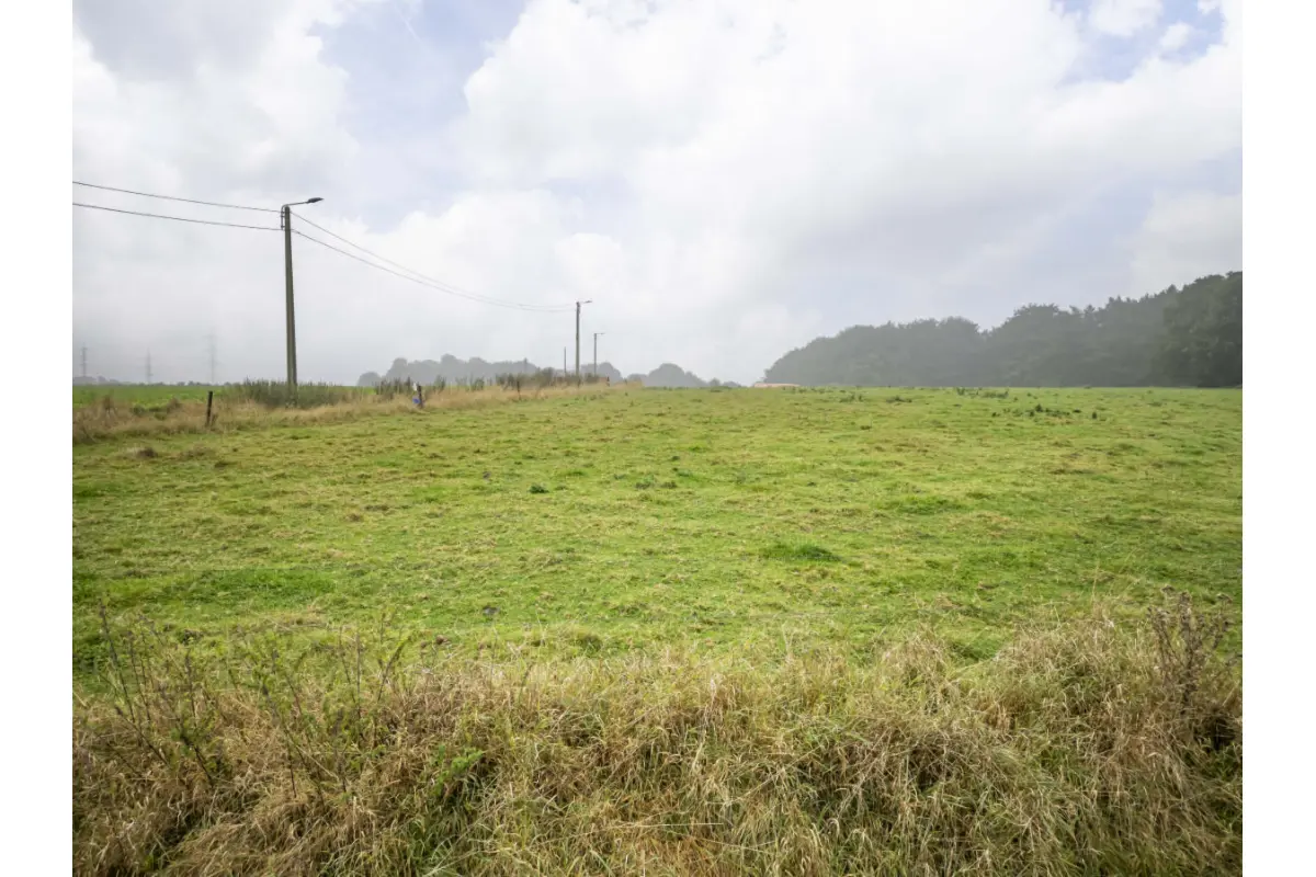 Terrain à vendre à Farciennes 6240 99000.00€  chambres m² - annonce 583761