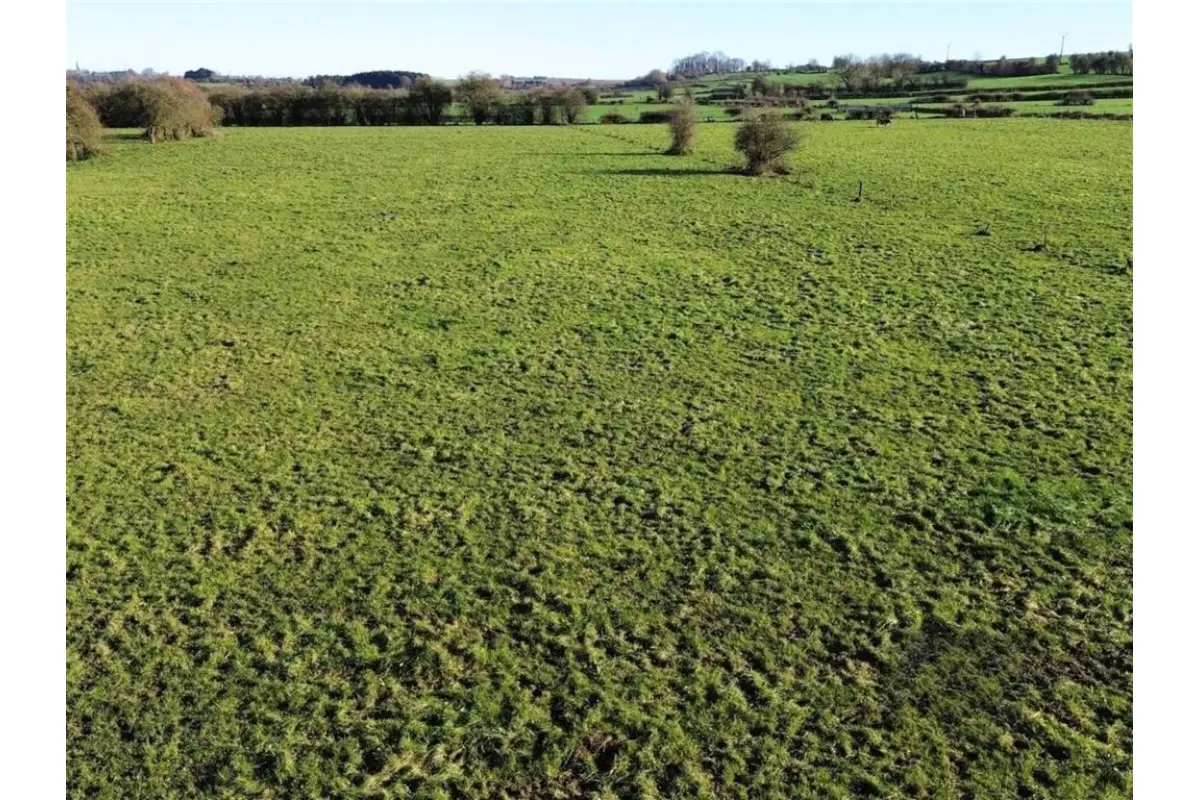 Terrain à vendre à Macon 6591 79000.00€  chambres m² - annonce 644367