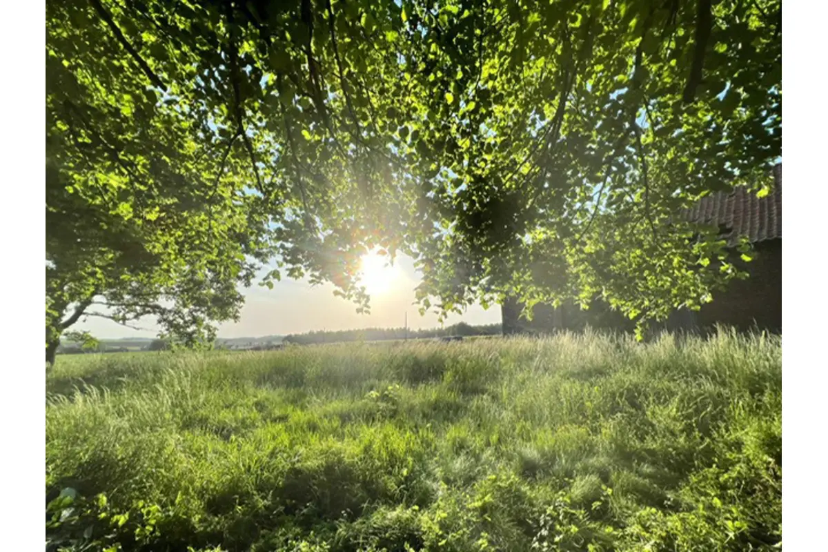 Terrain à  à Houtaing 7812 120000.00€  chambres m² - annonce 591625