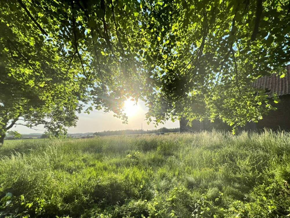 Terrain à vendre à Houtaing 7812 120000.00€ chambres m² - annonce 591625