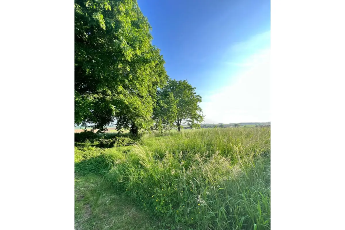 Terrain à vendre à Houtaing 7812 120000.00€  chambres m² - annonce 650255