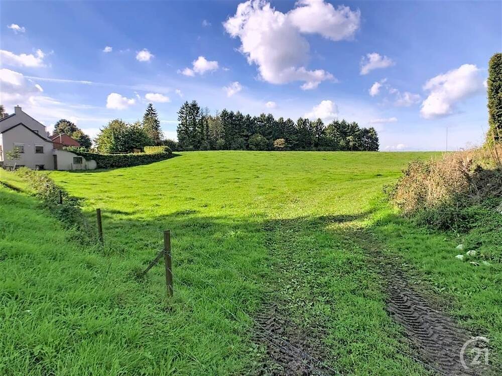 Terrain à vendre à Bourlers 6464 65000.00€  chambres m² - annonce 593600