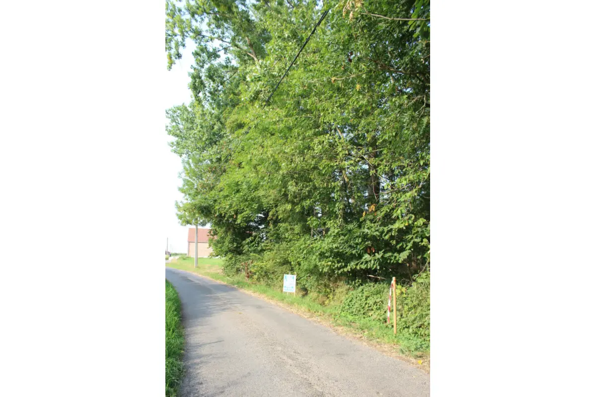 Terrain à vendre à Wannebecq 7861 80000.00€  chambres m² - annonce 597242