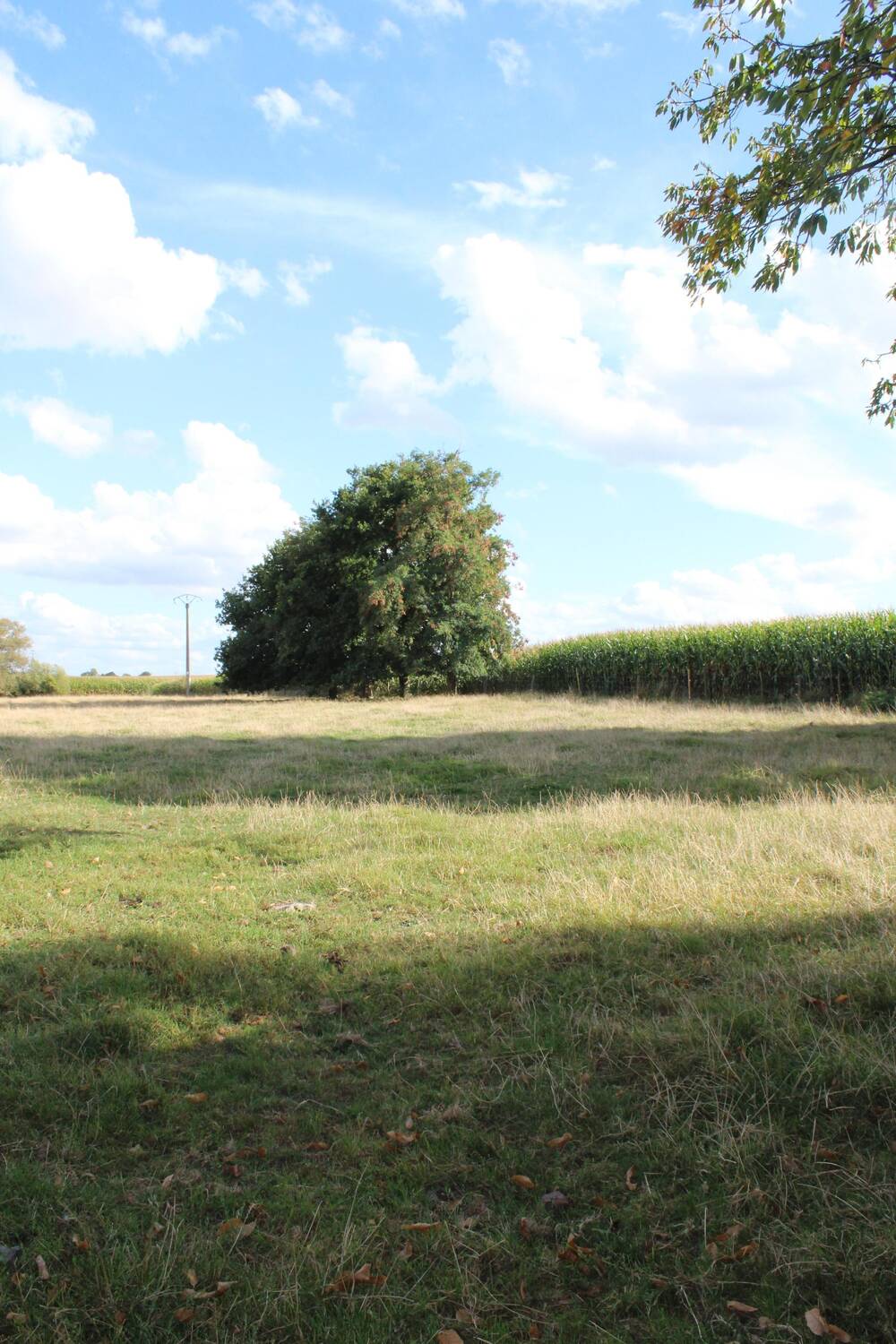 Terrain à bâtir à vendre à Wannebecq 7861 80000.00€ chambres m² - annonce 597368