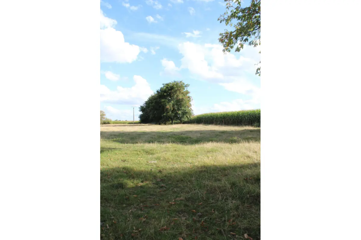 Terrain à bâtir à vendre à Wannebecq 7861 85000.00€  chambres m² - annonce 597368