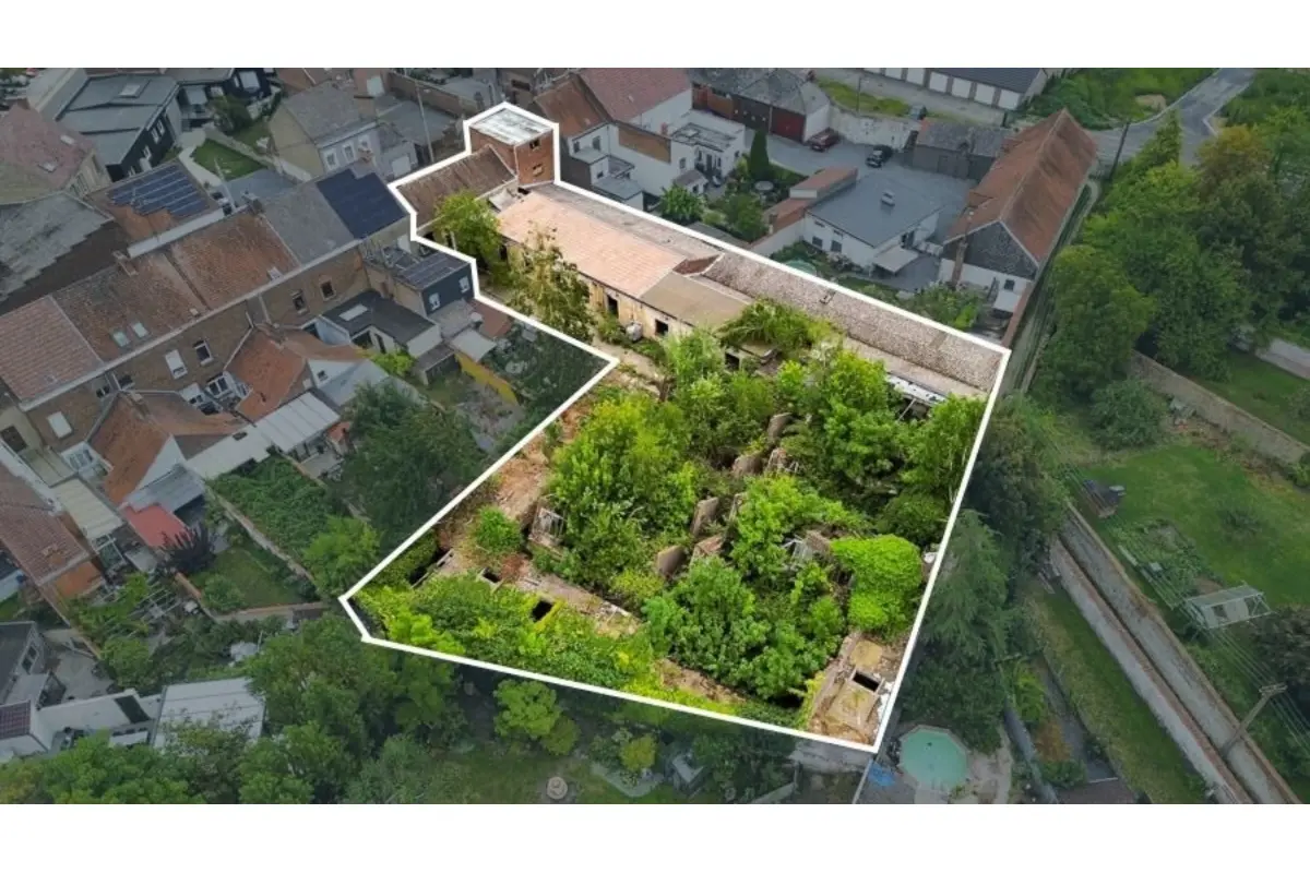 Commerce à vendre à Péruwelz 7600 320000.00€ 0 chambres m² - annonce 597973