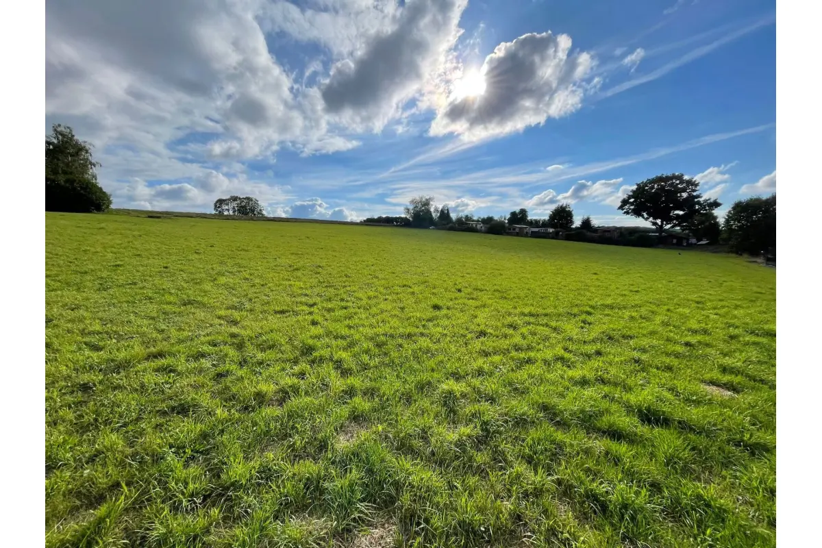 Terrain à vendre à Erquelinnes 6560 239000.00€  chambres m² - annonce 598943