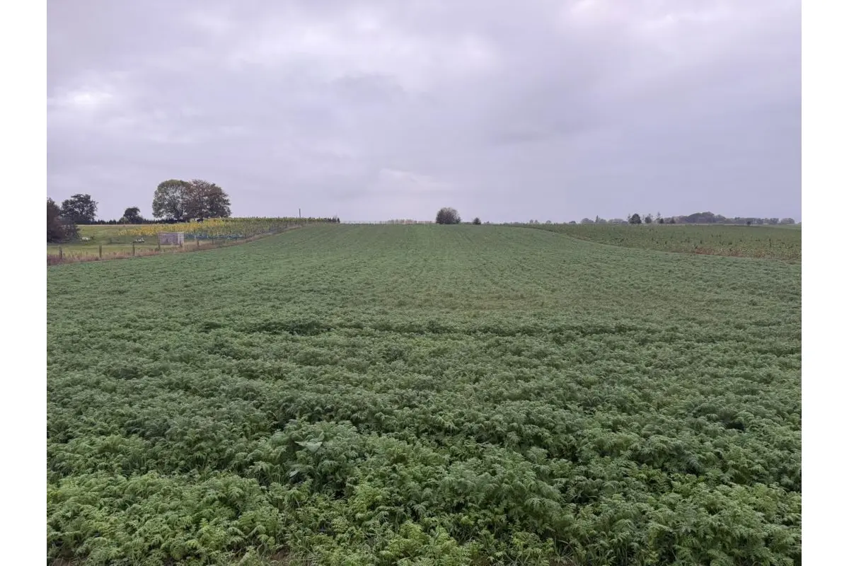 Terrain non bâtissable à vendre à Villers-Perwin 6210 140000.00€  chambres m² - annonce 712393