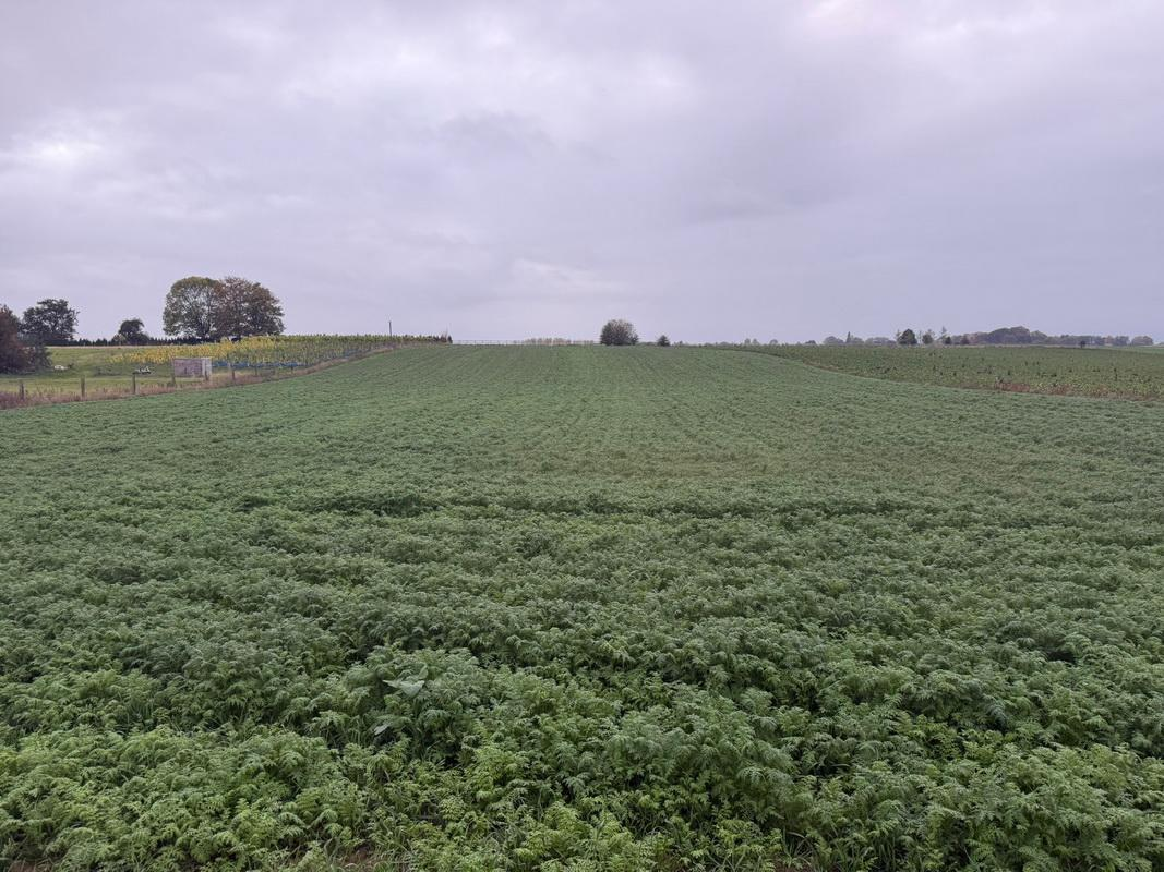 Terrain à vendre à Villers-Perwin 6210 140000.00€ chambres m² - annonce 605501