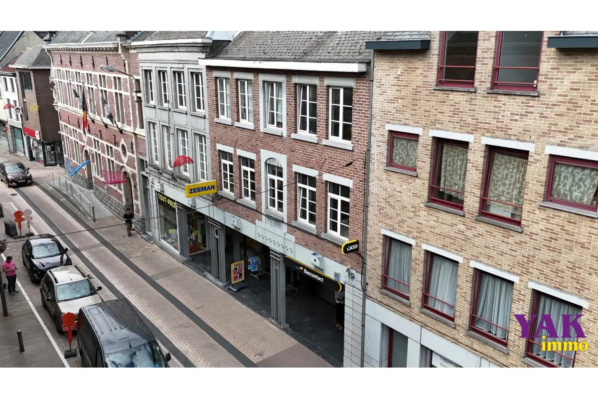 Commerce à vendre à Enghien 7850 982500.00€  chambres 920.00m² - annonce 609020