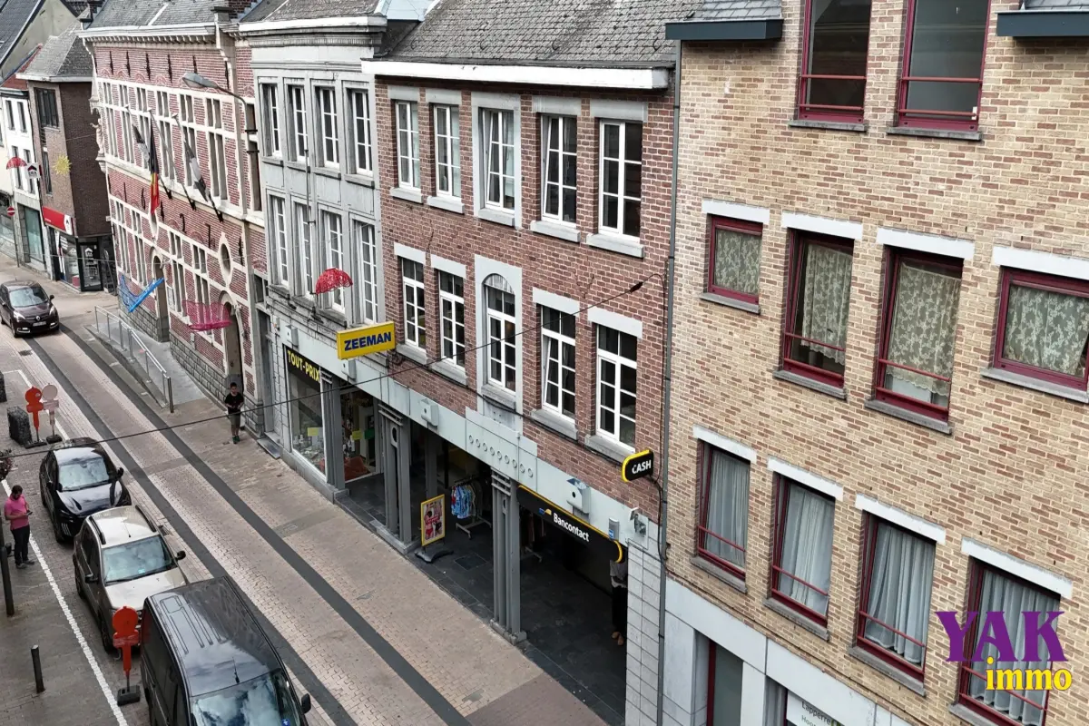 Commerce à vendre à Enghien 7850 982500.00€  chambres 920.00m² - annonce 609020