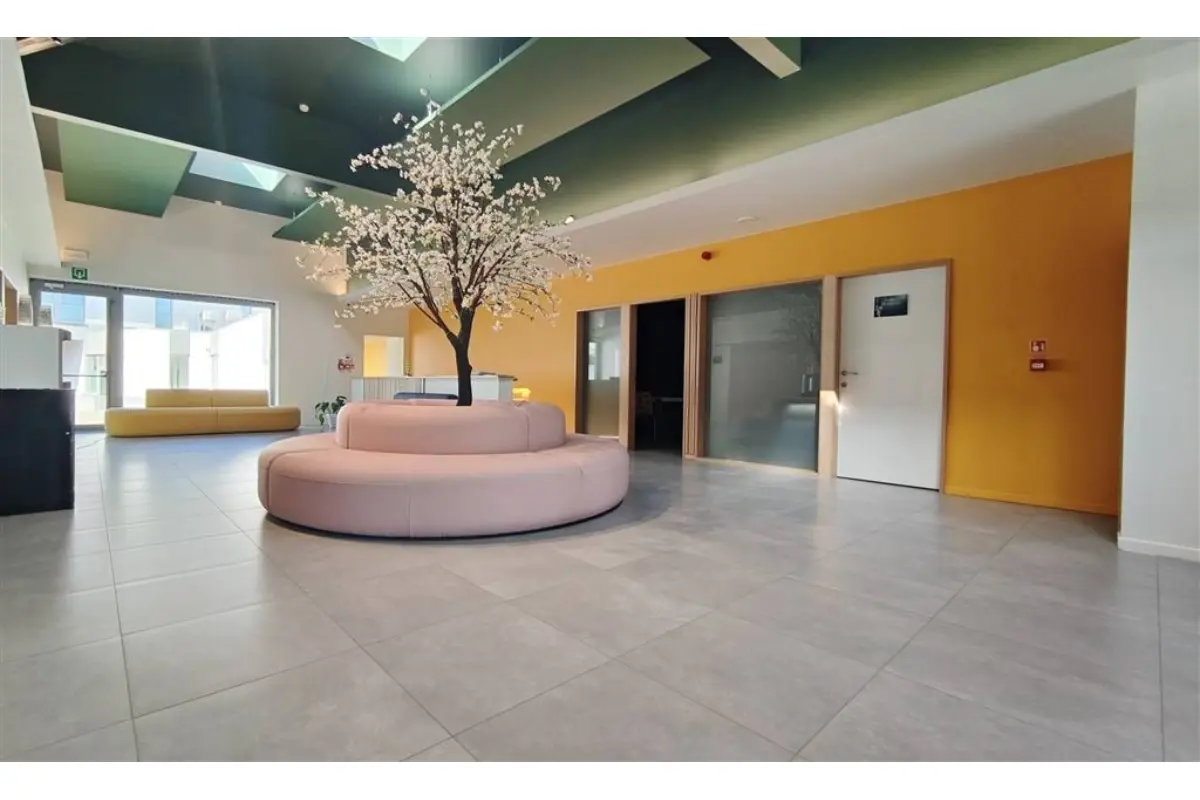 Commerce à louer à Tournai 7500 650.00€  chambres m² - annonce 616185