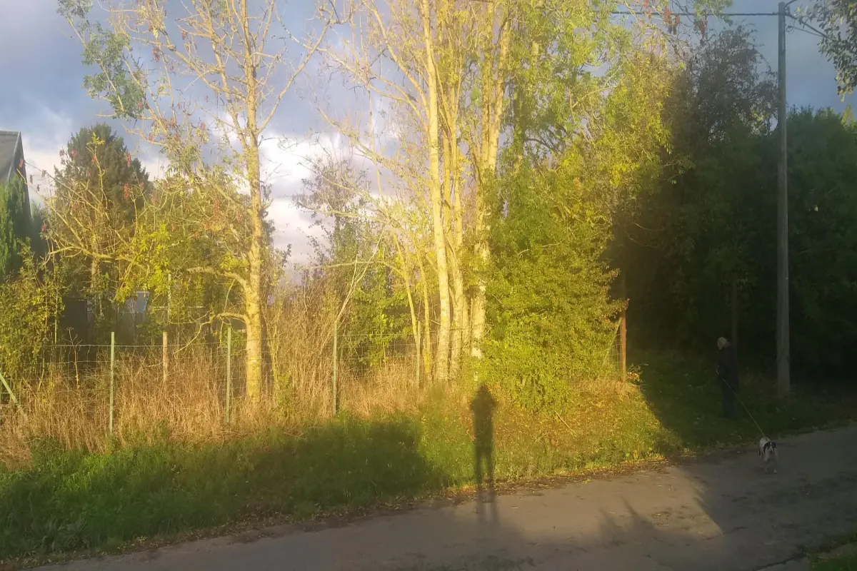 Terrain à bâtir à vendre à Honnelles 7387 65000.00€  chambres m² - annonce 623040