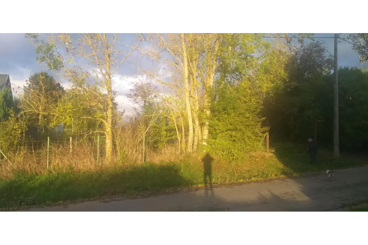 Terrain à vendre à Honnelles 7387 65000.00€  chambres m² - annonce 623040