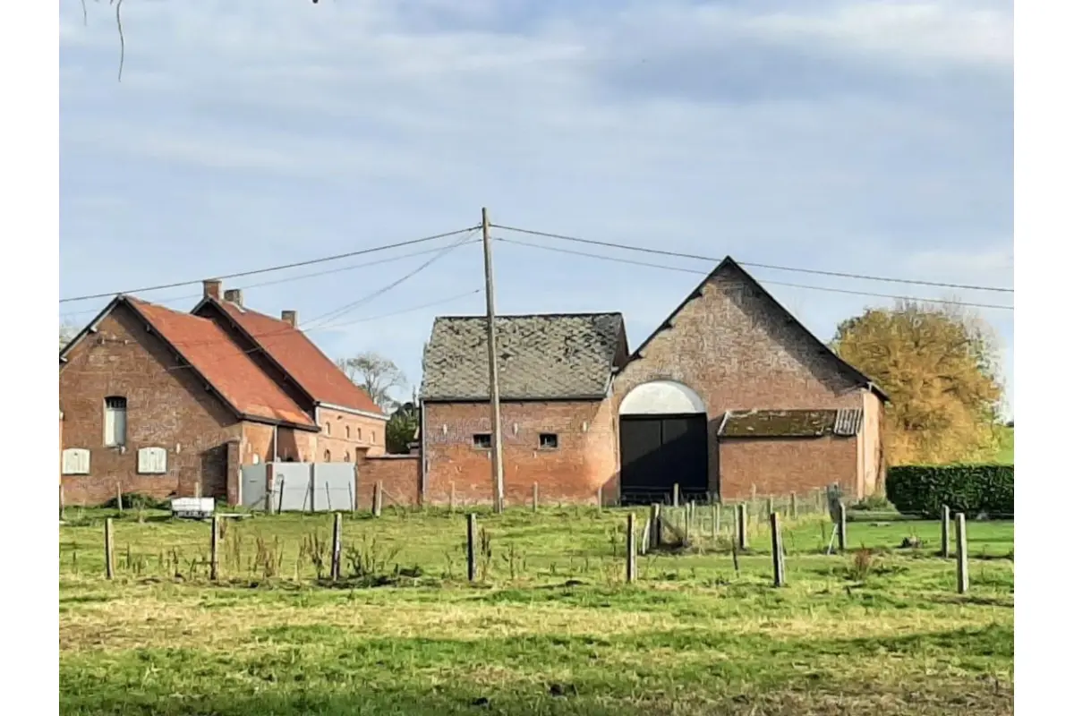 Ferme à vendre à Frasnes-lez-Buissenal 7911 250000.00€ 7 chambres m² - annonce 622853