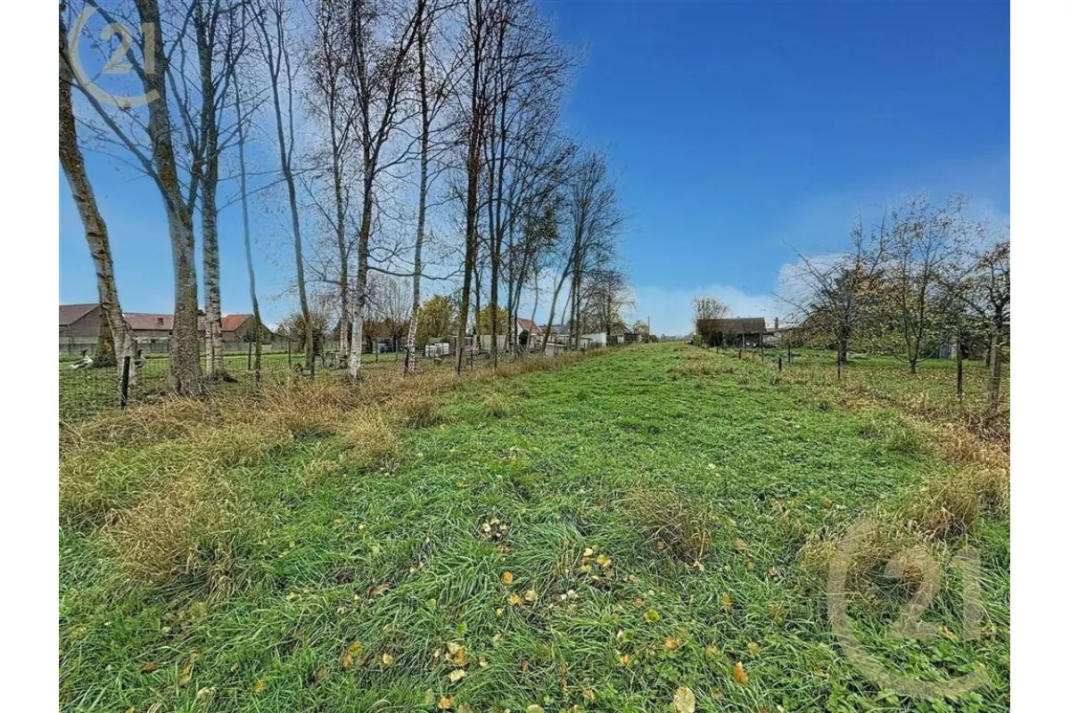 Terrain à vendre à Wiers 7608 70000.00€  chambres m² - annonce 629905