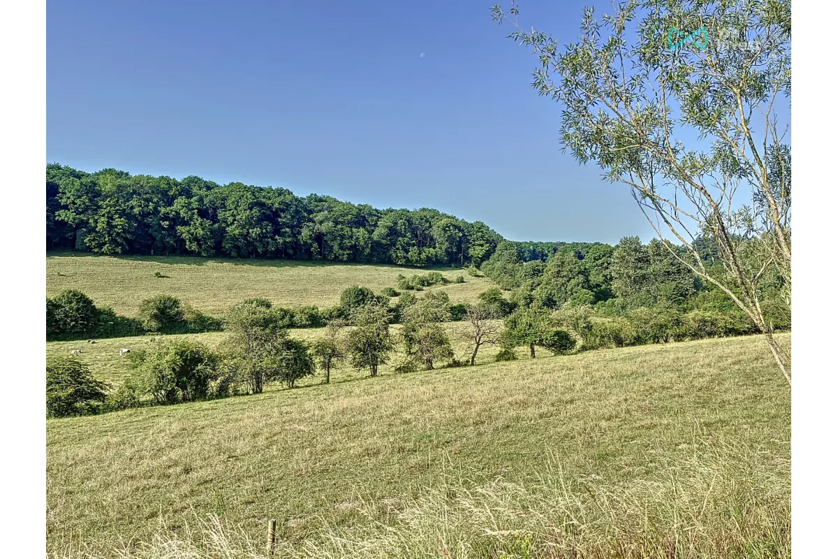 Terrain à vendre à Chimay 6460 75000.00€  chambres m² - annonce 634636