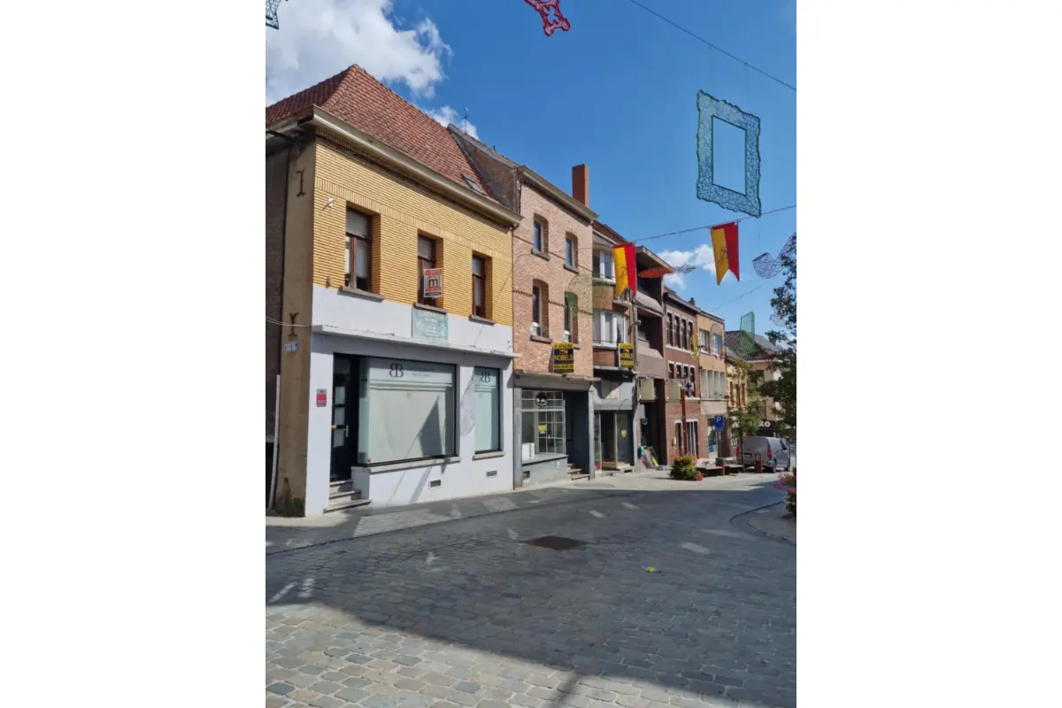 Maison à vendre à Lessines 7860 269500.00€ 2 chambres 240.00m² - annonce 634473