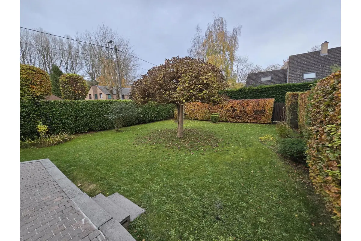 Maison à louer à Saint-Symphorien 7030 1295.00€ 2 chambres m² - annonce 635797