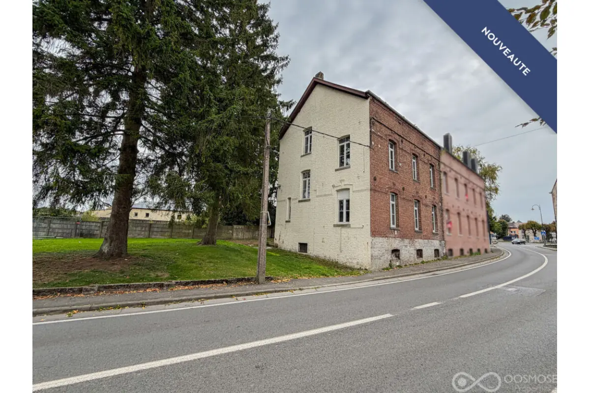 Maison à vendre à Momignies 6590 100000.00€ 4 chambres 158.00m² - annonce 634931
