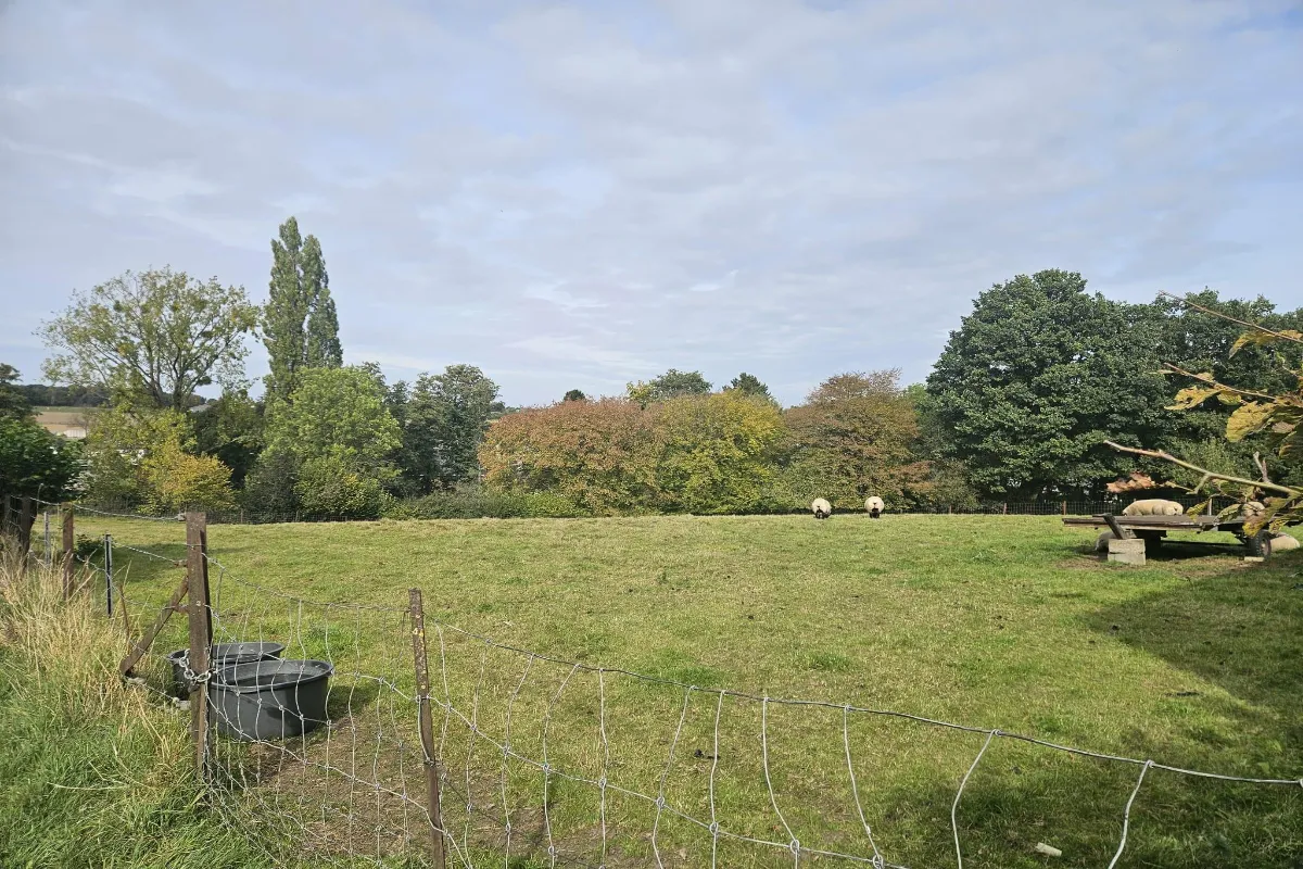 Terrain à vendre à Joncret 6280 112795.00€  chambres m² - annonce 636372