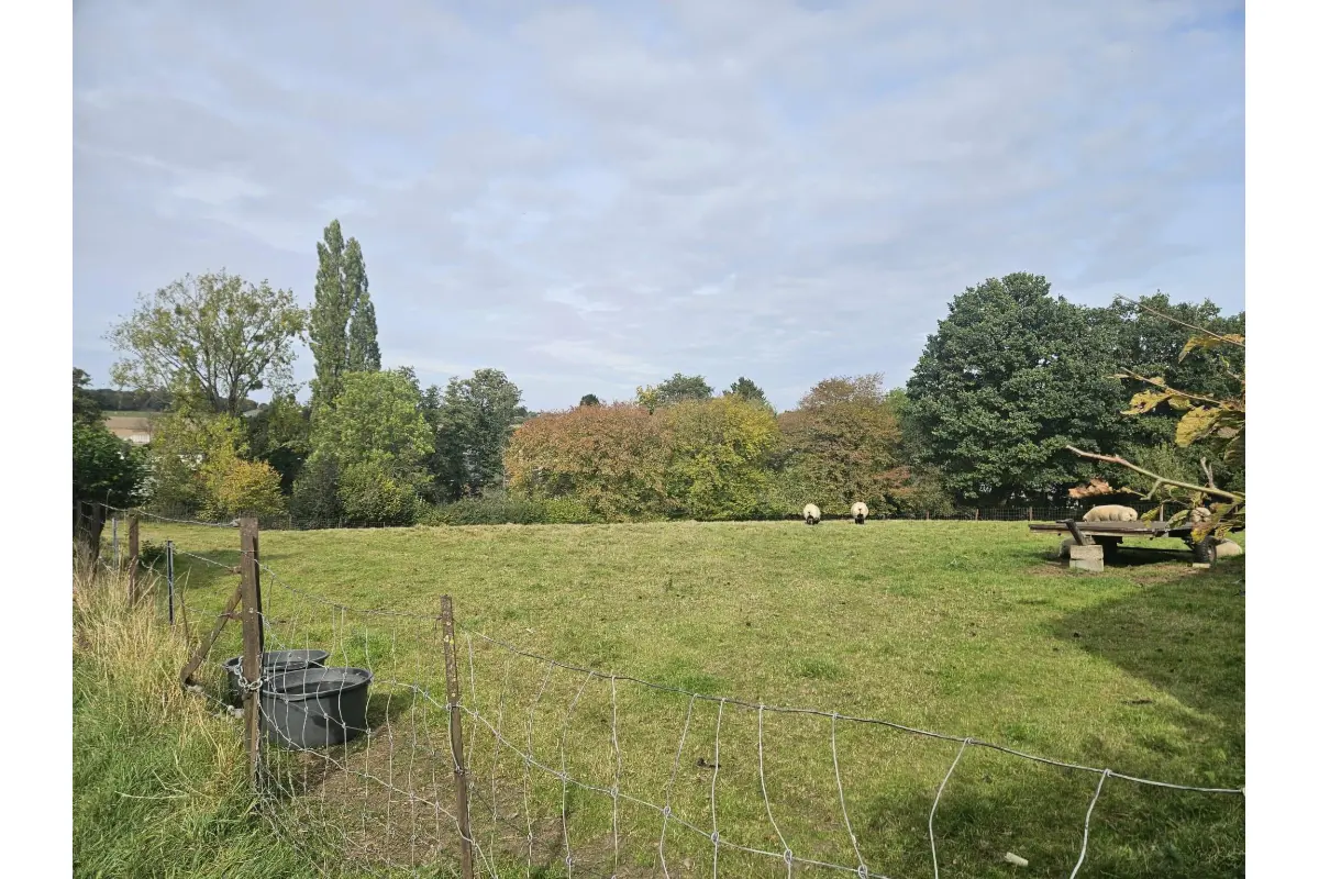 Terrain à vendre à Joncret 6280 98500.00€  chambres m² - annonce 712420