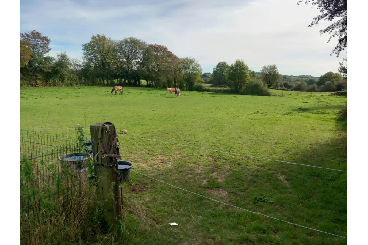 Terrain à vendre à Momignies 6590 10035.00€  chambres m² - annonce 636266