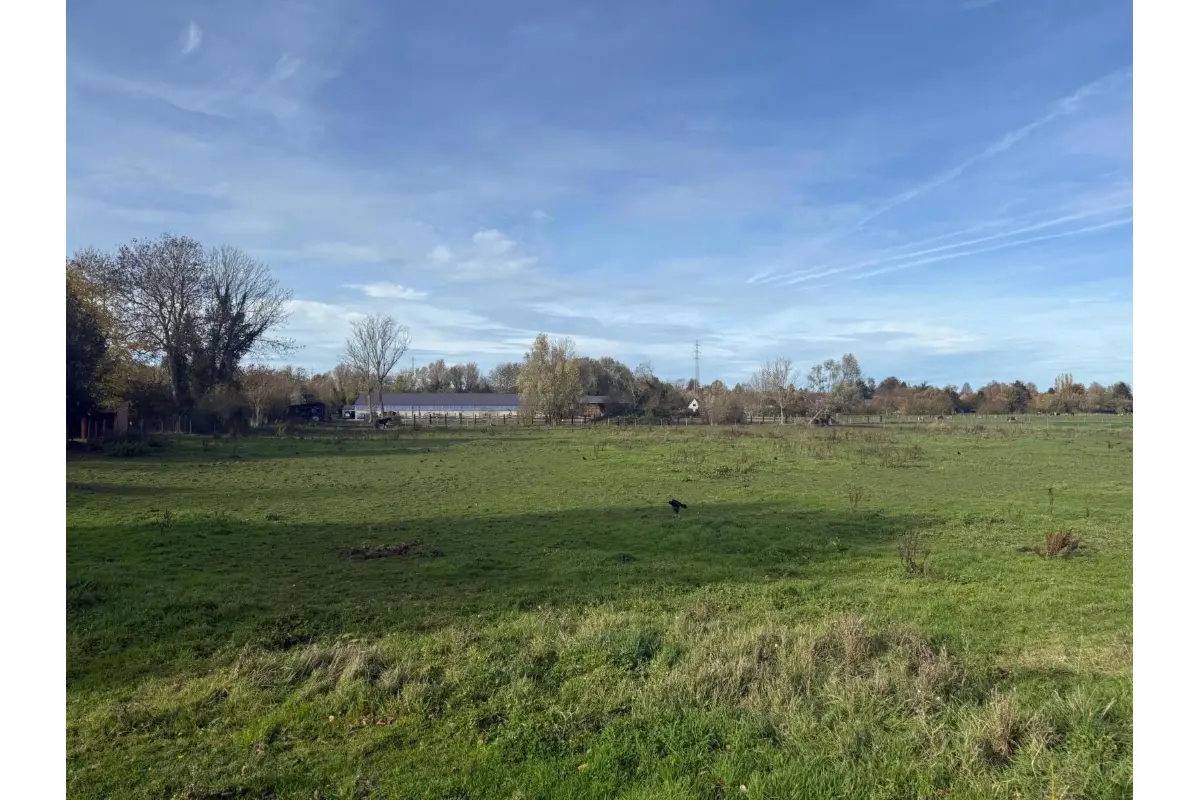 Terrain à  à Mons 7000 619000.00€  chambres m² - annonce 638846