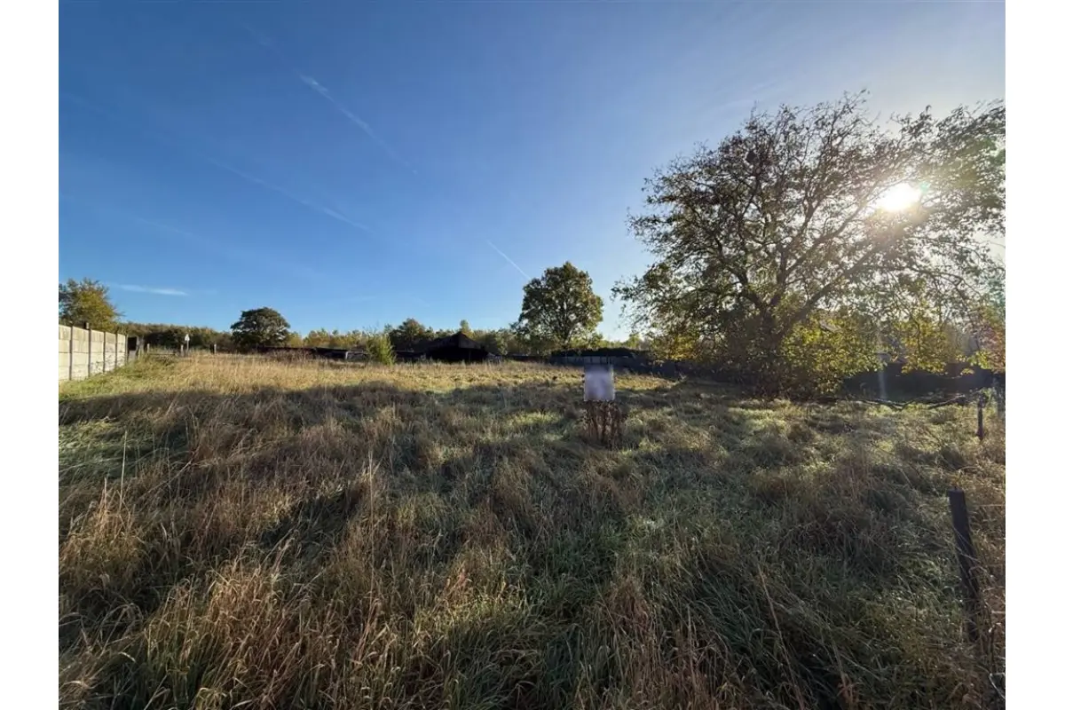 Terrain à vendre à Sirault 7332 80000.00€  chambres m² - annonce 643189