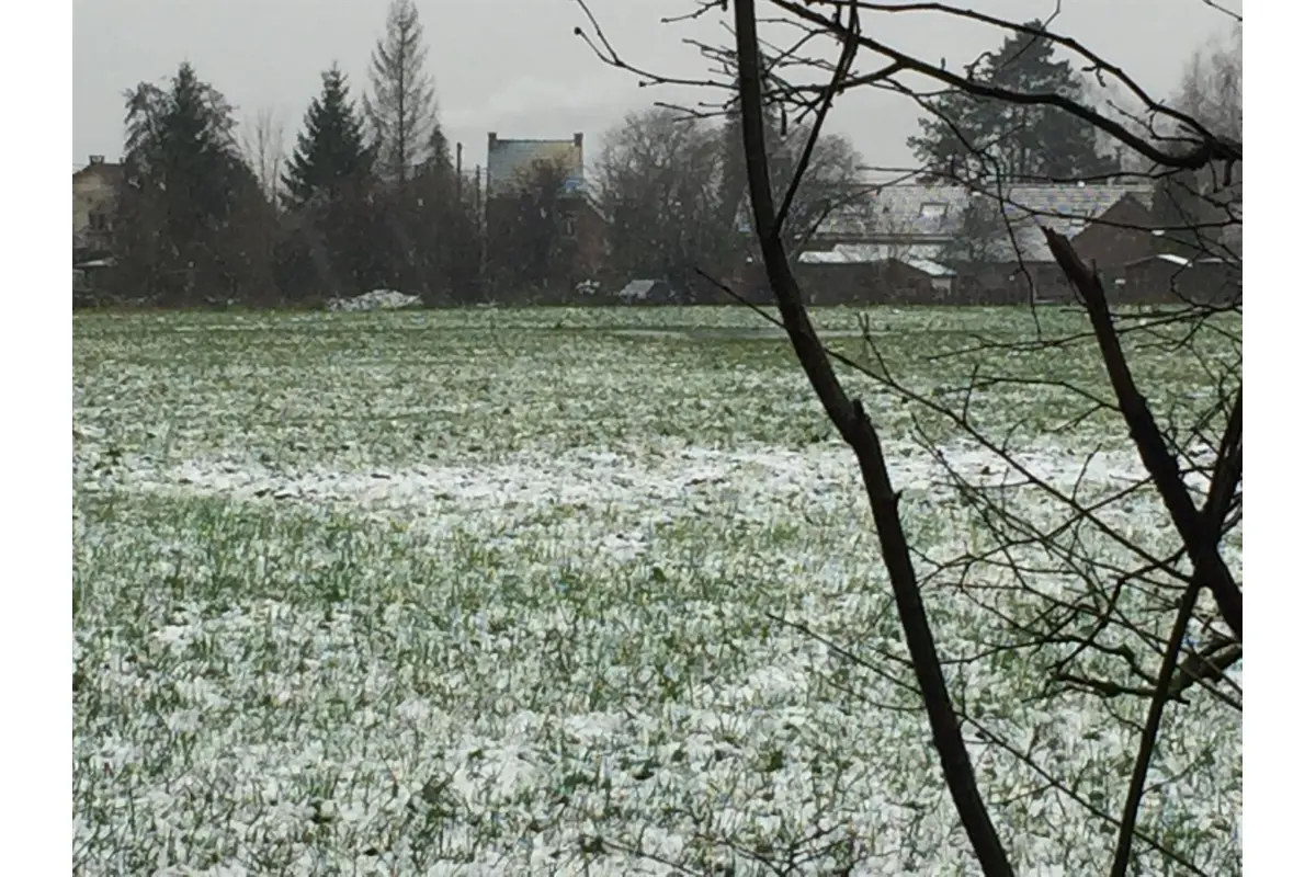 Terrain à vendre à Obourg 7034 950000.00€  chambres m² - annonce 644716