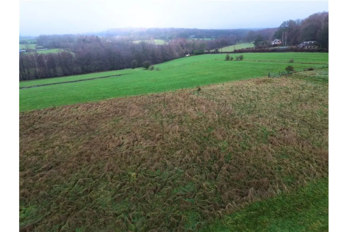 Terrain à vendre à Forge-Philippe 6596 40000.00€  chambres m² - annonce 645517