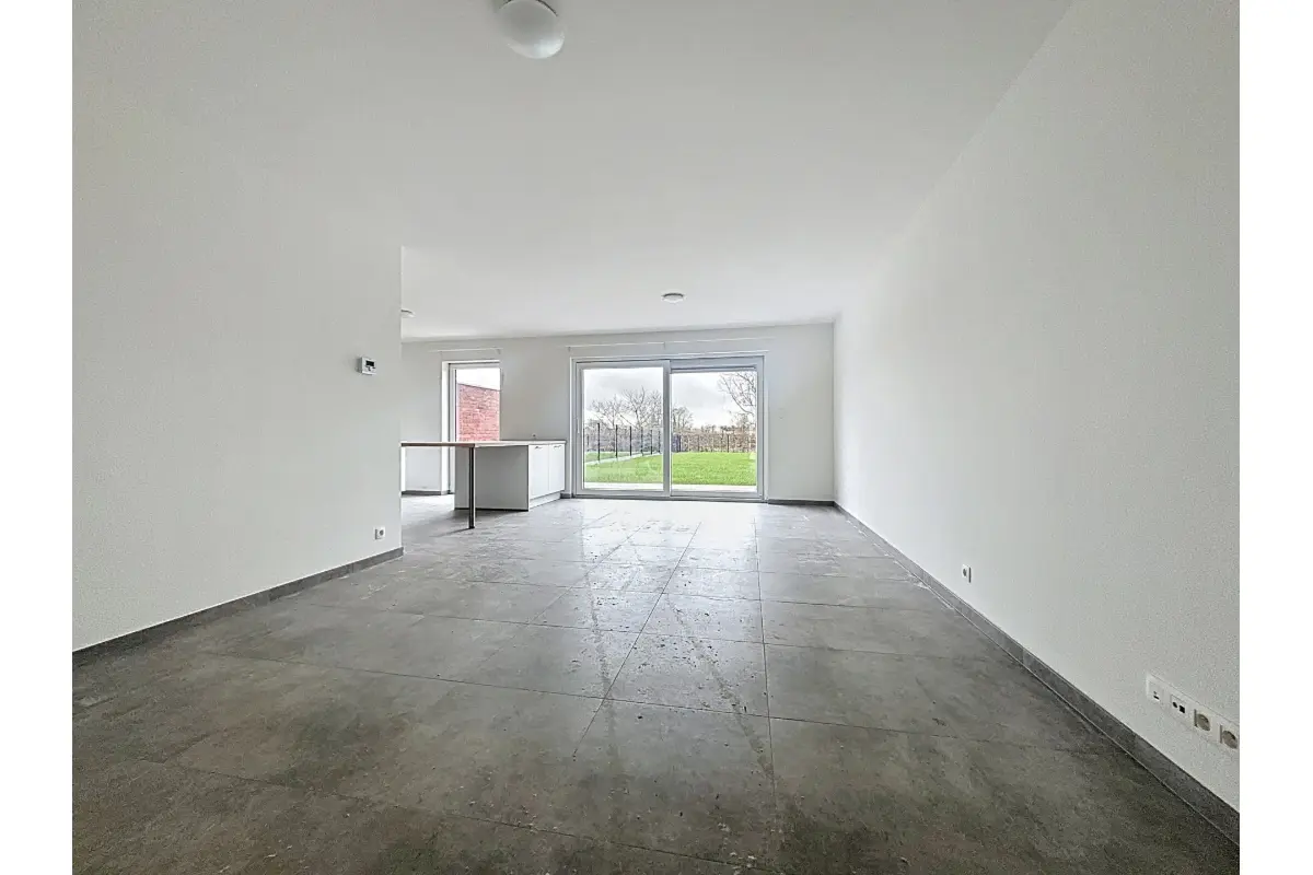 Maison à louer à Rongy 7623 1050.00€ 3 chambres 144.00m² - annonce 650941